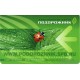 Plantain travel cards. Green Type 1.