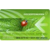 Plantain travel cards. Green matt (2)
