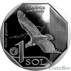 Peru 1 salt 2017 Condor