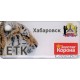 Card triple keychain Khabarovsk Tiger