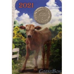 Calendar Bull Token 2021 SPMD Option 1.  Small