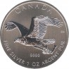Canada 5 dollars 2014 Bald eagle